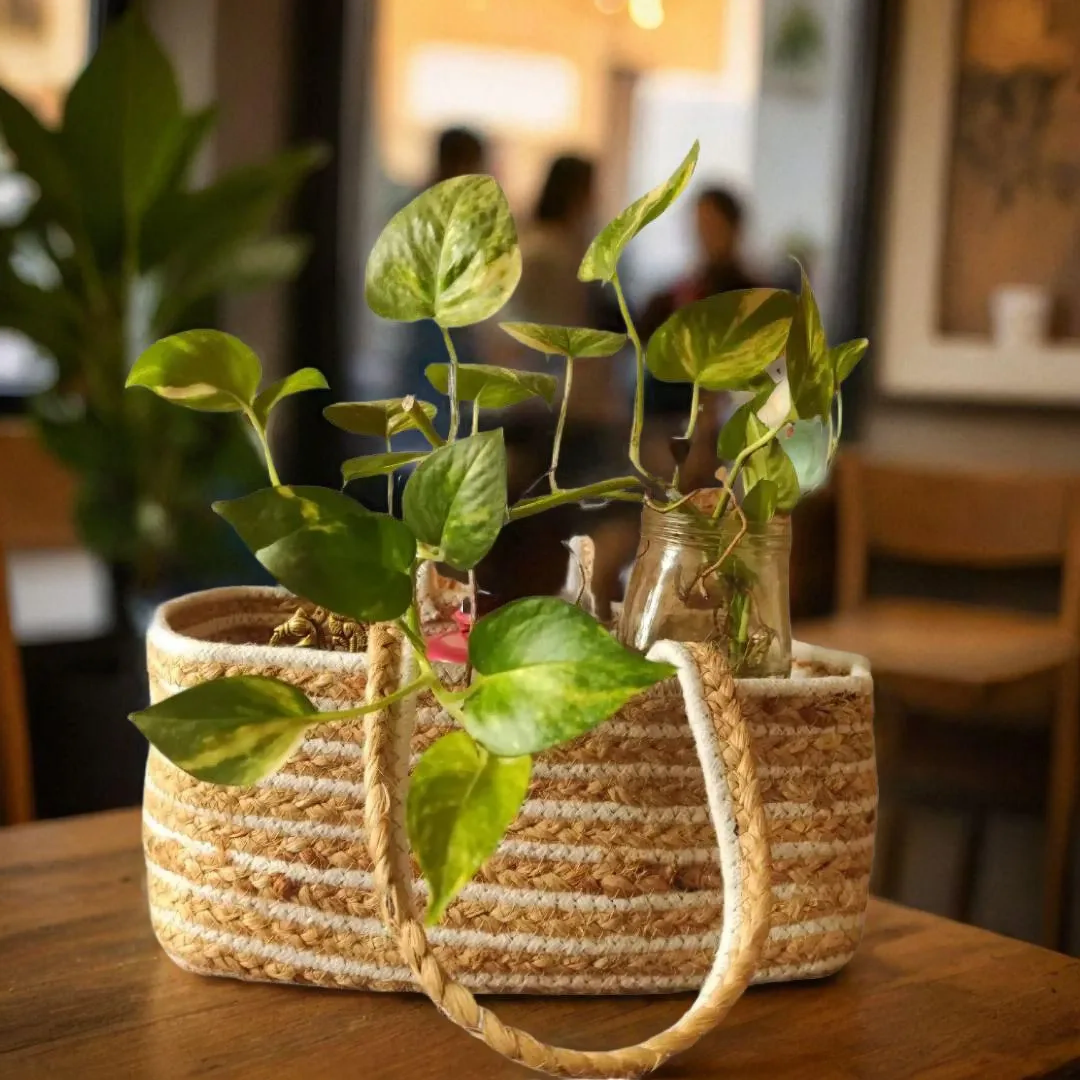 Bhumatha Cute Jute Basket for Storage, Clothes, Kitchen (Beige and white, 32x20x15 cm) - Handmade Rectangular Basket for Desk Organizer, Fruits, Vegetables, Home Decor, Wardrobe, Travelling